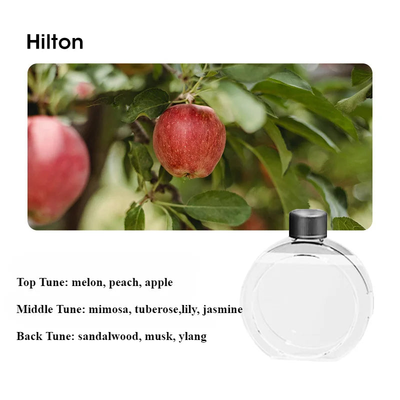 60㎡ Oil Aromatherapy Diffuser – Wall-Mounted & Desktop Air Purifying Machine with Colorful Night Light - Loovy #