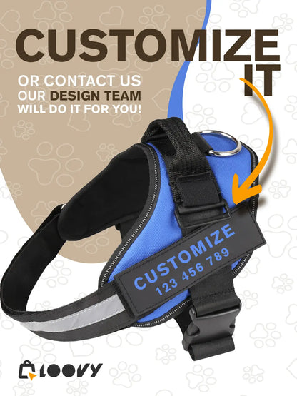 Custom Dog Harness with Name & Phone – No Pull, Reflective & Secure