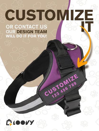Custom Dog Harness with Name & Phone – No Pull, Reflective & Secure