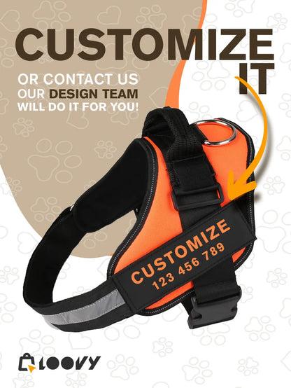 Custom Dog Harness with Name & Phone – No Pull, Reflective & Secure