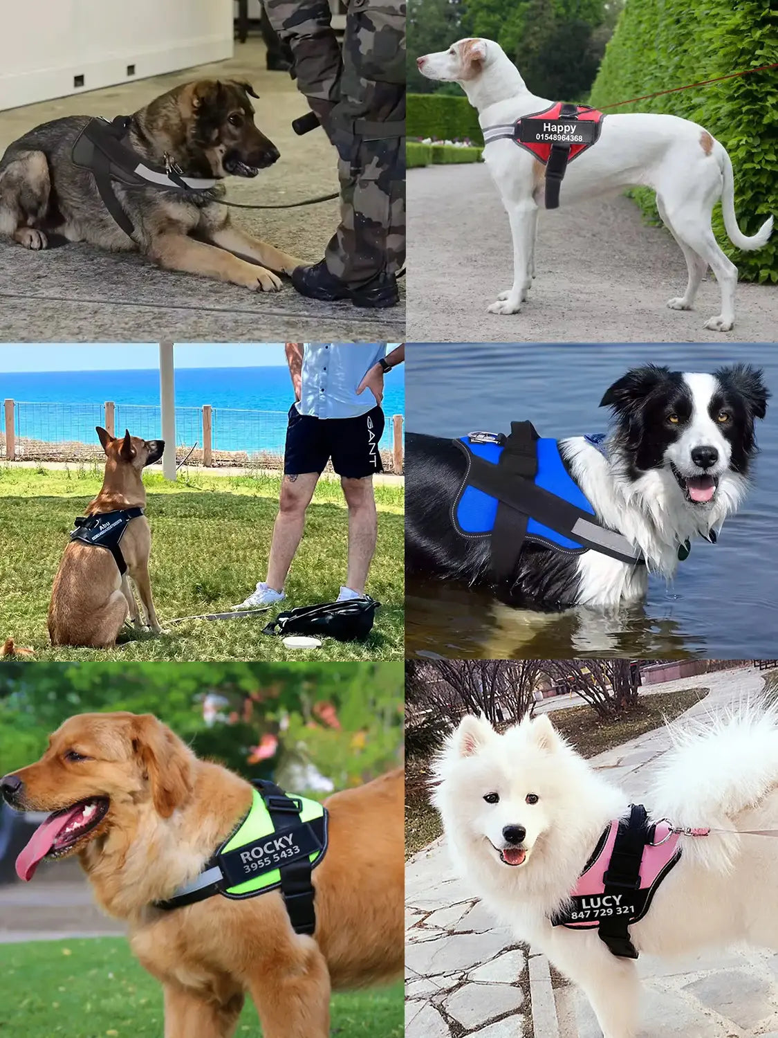 Custom Dog Harness with Name & Phone – No Pull, Reflective & Secure