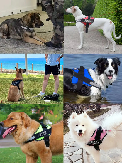 Custom Dog Harness with Name & Phone – No Pull, Reflective & Secure