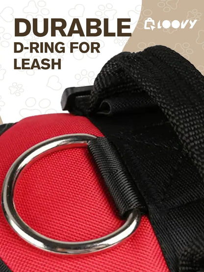 Custom Dog Harness with Name & Phone – No Pull, Reflective & Secure