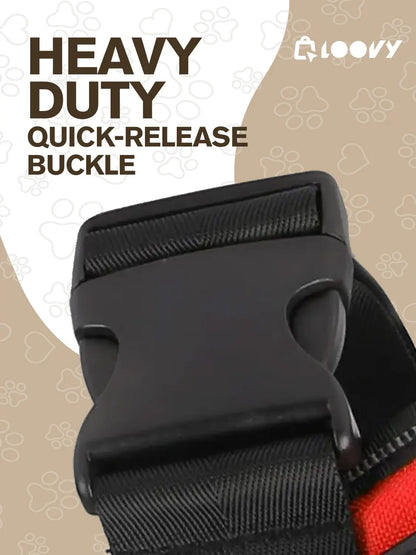Custom Dog Harness with Name & Phone – No Pull, Reflective & Secure
