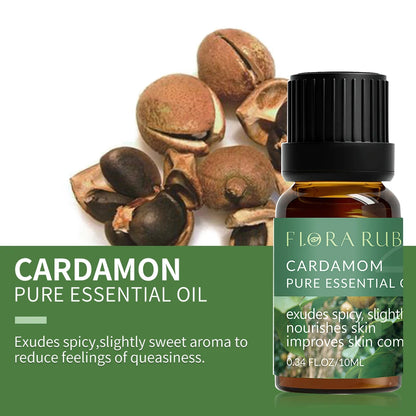 Pure Essential Oils for Diffusers – Lavender, Eucalyptus, Tea Tree, Peppermint, and More - Loovy # 